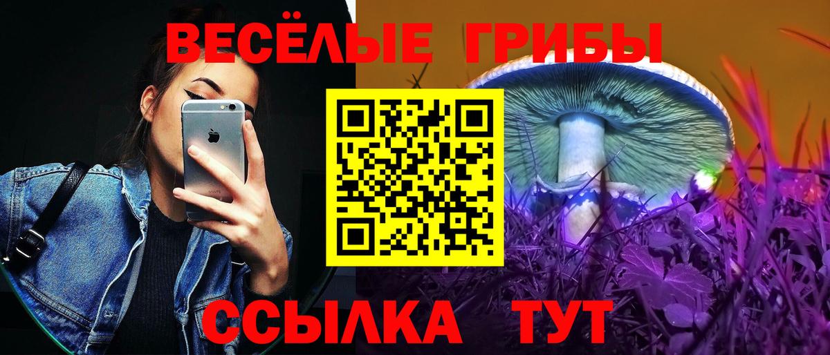 Галлюциногенные грибы MAGIC MUSHROOMS Мурино